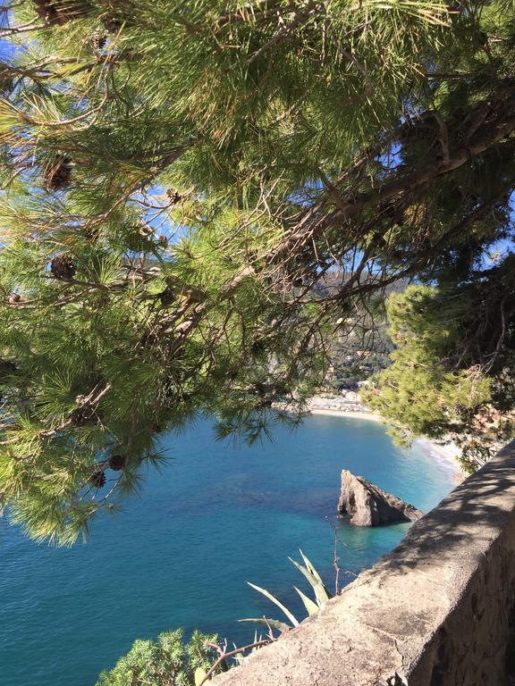 Acciuga Apartman Monterosso al Mare Kültér fotó