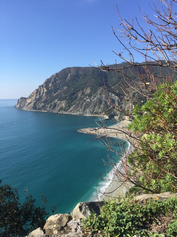 Acciuga Apartman Monterosso al Mare Kültér fotó