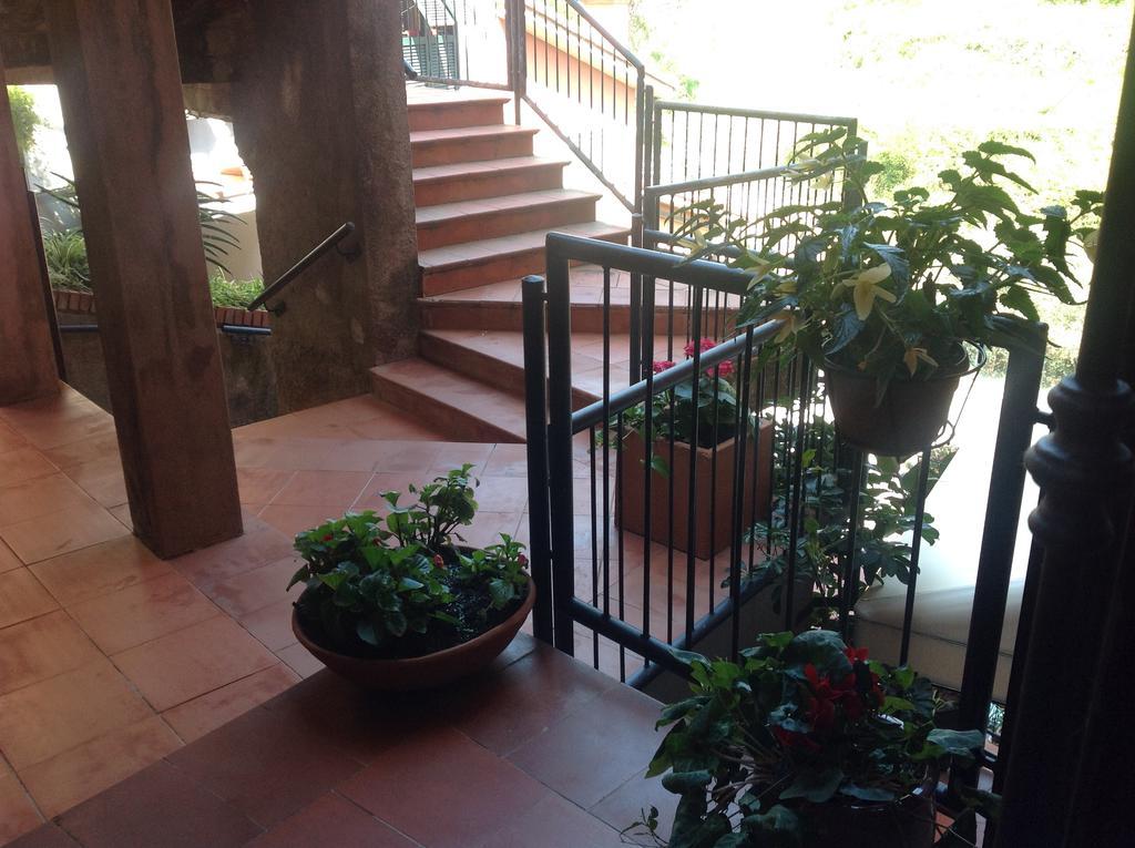 Acciuga Apartman Monterosso al Mare Kültér fotó